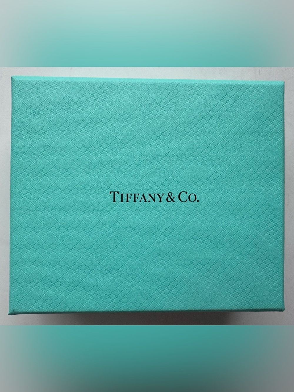 Tiffany & Co. Signature Logo Gift Box